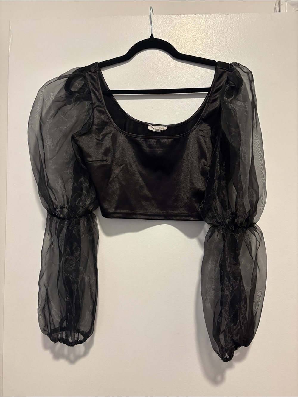 Bear Dance Black Sheer Puff-Sleeve Crop Top
